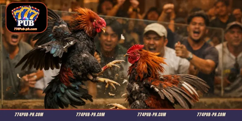 Gabay sa Pagtaya at Pakikilahok sa Pandaigdigang Arena