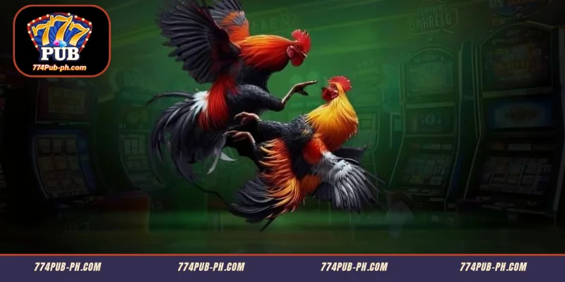 Highlights ng Sabong 774PUB