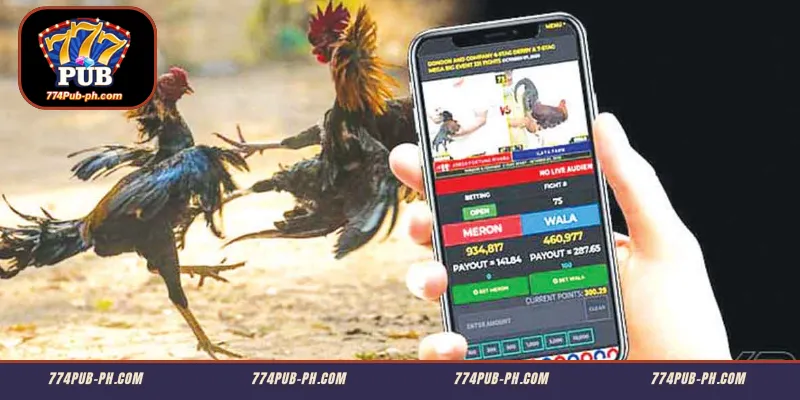 Mga Hakbang para Makapagsimula sa Online Sabong