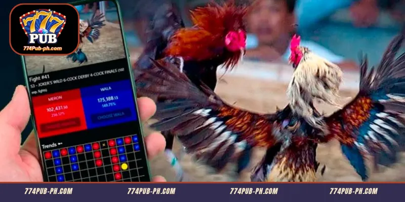 Mga Praktikal na Estratehiya para sa Global Cockfighting