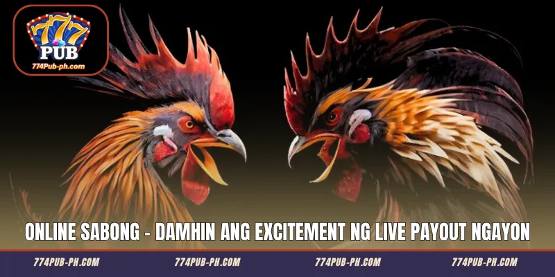 Online Sabong - Damhin ang excitement ng Live Payout Ngayon