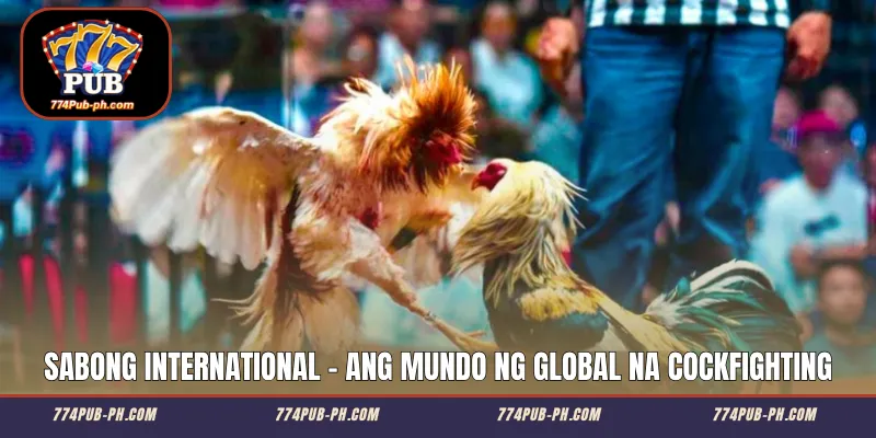 Sabong International - Ang Mundo ng Global na Cockfighting